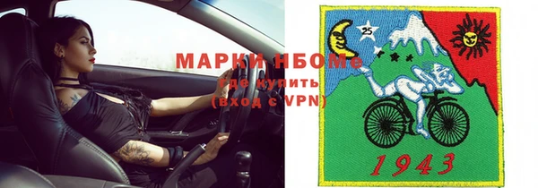 прущие грибы Елизово