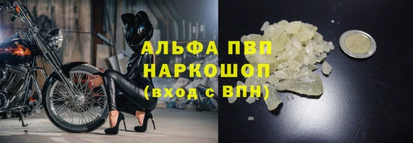 прущие грибы Елизово