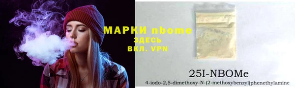 прущие грибы Елизово