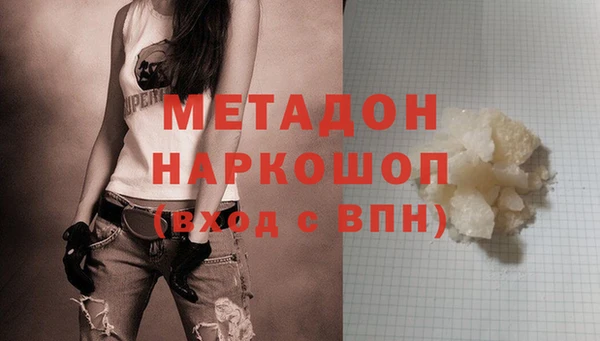 прущие грибы Елизово