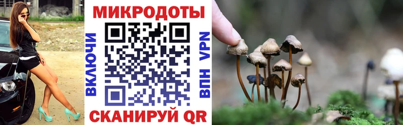 Галлюциногенные грибы Cubensis  Купить закладки  Алейск 